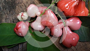 Red and fresh water apple