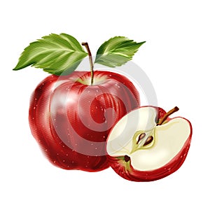 Red fresh whole apple with green leaves and half an apple with seeds, watercolor isolated illustration