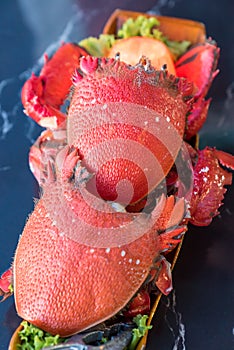 Red Frog Crab
