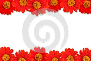 Red frower frame on white background 2