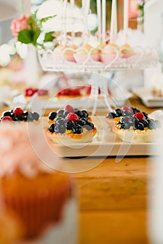 Red fruits on puff pastry tartlets, colorful and well focused