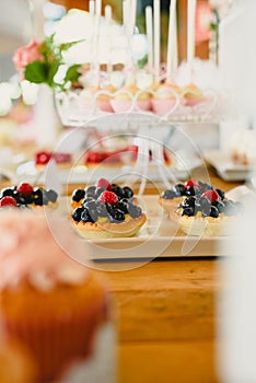 Red fruits on puff pastry tartlets, colorful and well focused