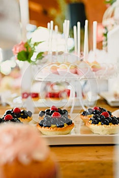 Red fruits on puff pastry tartlets, colorful and well focused