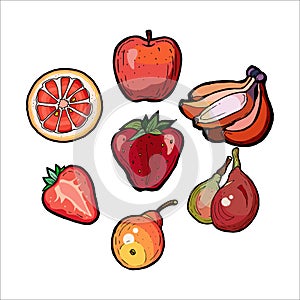 Red fruits vector set isolated. Whole, chopped strawberry, bananas, pears, orange, apple. Fruits collection hand drawn