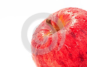 Red Fuji apple isolated