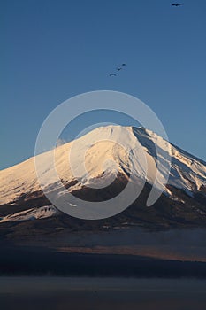 Red Fuji (Mt. Fuji in red)