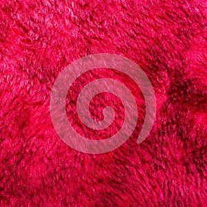 Red fur texture