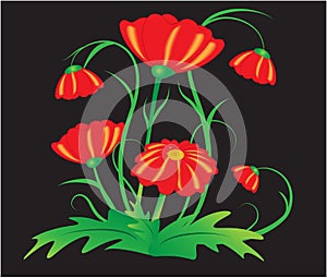 Red Garden Flower Vector on black background