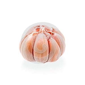 Red Garlic Organic Spice Isolated on White