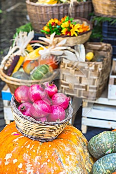 Red garnets and pumpkins. fruit market