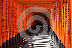 Red Gates at the Fushimi Inari Taisha Shrine in Kyoto Japan