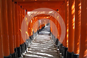 Red gates tunnel in Kyoto