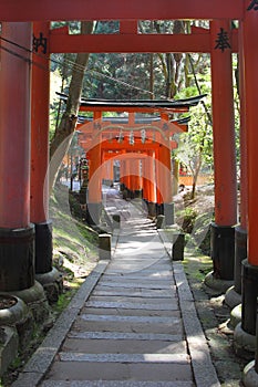 Red gates tunnel in Kyoto