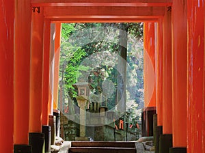 Red gates tunnel in Kyoto