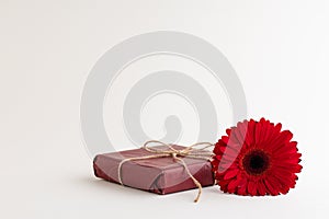Red gebera flower with different objects on white