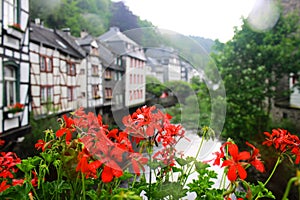 Red geranium flowers and historic tudor style buildings in Monschau