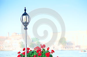 Red geraniums and lamppost with morning fog, Venice Grand Canal
