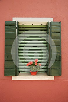 Red geraniums on window sill. photo