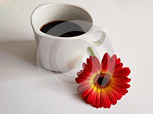 red gerbera flower and a cup of coffee on the white table