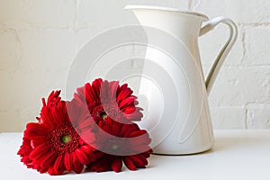 Red gerberas next to white jug