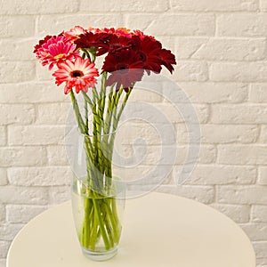 multi-colored gerberas in a vase on a white background photo