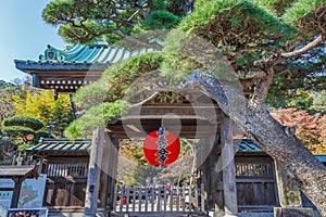 Red Giant Lantern at the Front gate of Hasedera Temple in Kamakura