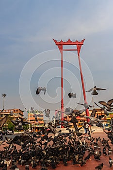 Red giant swing or Sao Ching Cha with the crowd of pigeon, one o photo