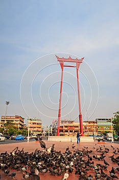 Red giant swing or Sao Ching Cha with the crowd of pigeon, one o photo