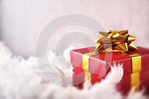 Red gift box with golden ribbon on white feathers front