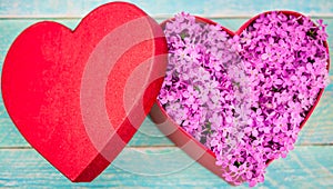 Red gift box with lilac flowers on wooden background