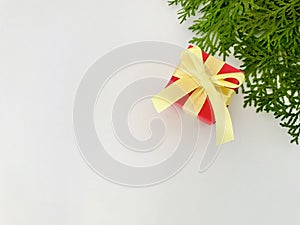 Red gift box and Oriental arborvitae branches on corner of white background. Copy space.