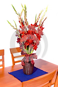 Red gladiolas