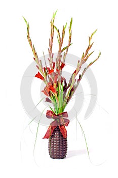 Red gladiolas