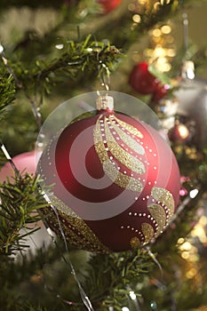 Red glass ball hanging on green Christmas tree branch