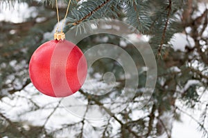 Red Glass Ball hanging on a snow covered Christmas tree