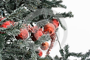 Red glass balls on tree