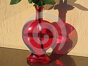 Red glass bottle and shadow