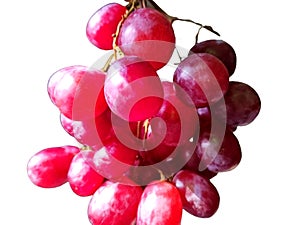 Red Globe (grape variety) placed on a white background. View from directly above.