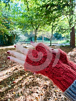 red gloves and a background of autumn trees