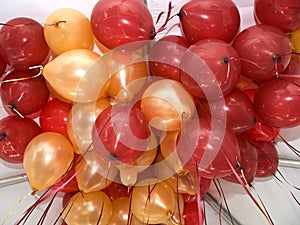 Red and Gold Balloons