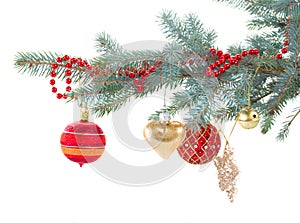 Red and gold christmas decorations on fir tree