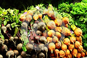 Red and Golden Beets