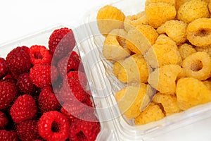 Red And Golden Raspberry