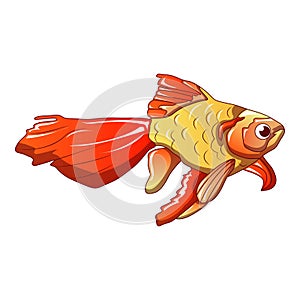 Red goldfish icon, cartoon style