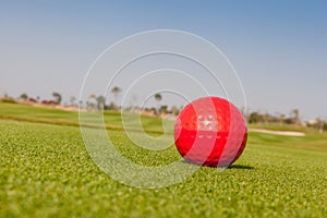 Red golf ball model with blurred golf course background.