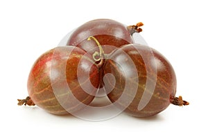 Red gooseberries