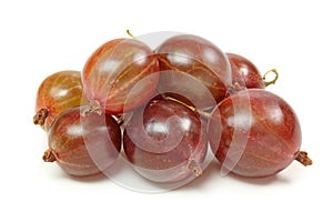 Red gooseberries