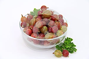 Red gooseberries