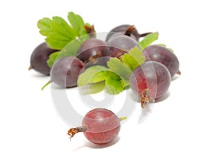 Red Gooseberries with Leaves