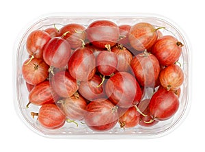 Red gooseberries in a plastic container, Ribes uva-crispa